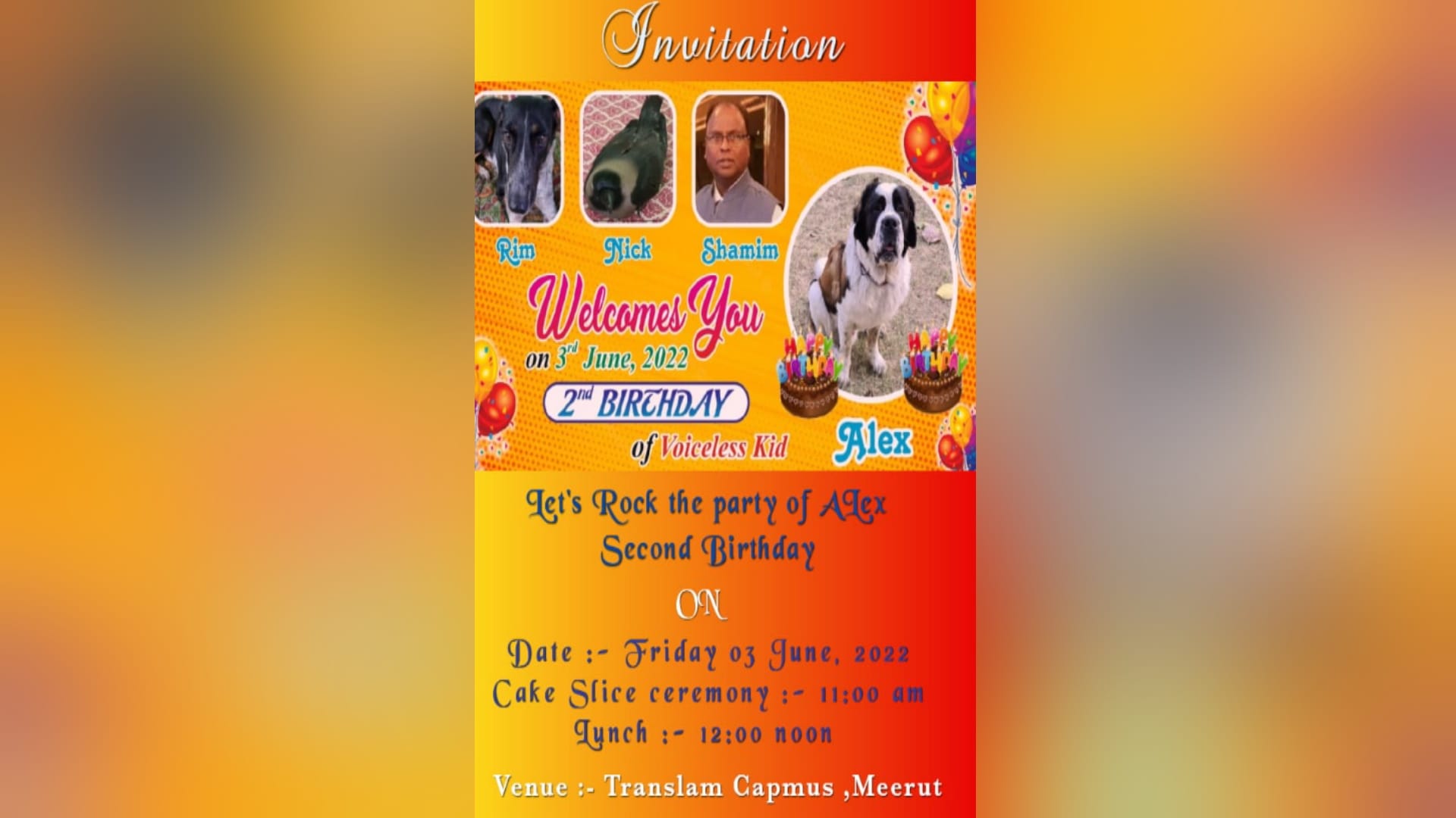 Meerut News: Big preparations for birthday of dog, menu is like a wedding feast
