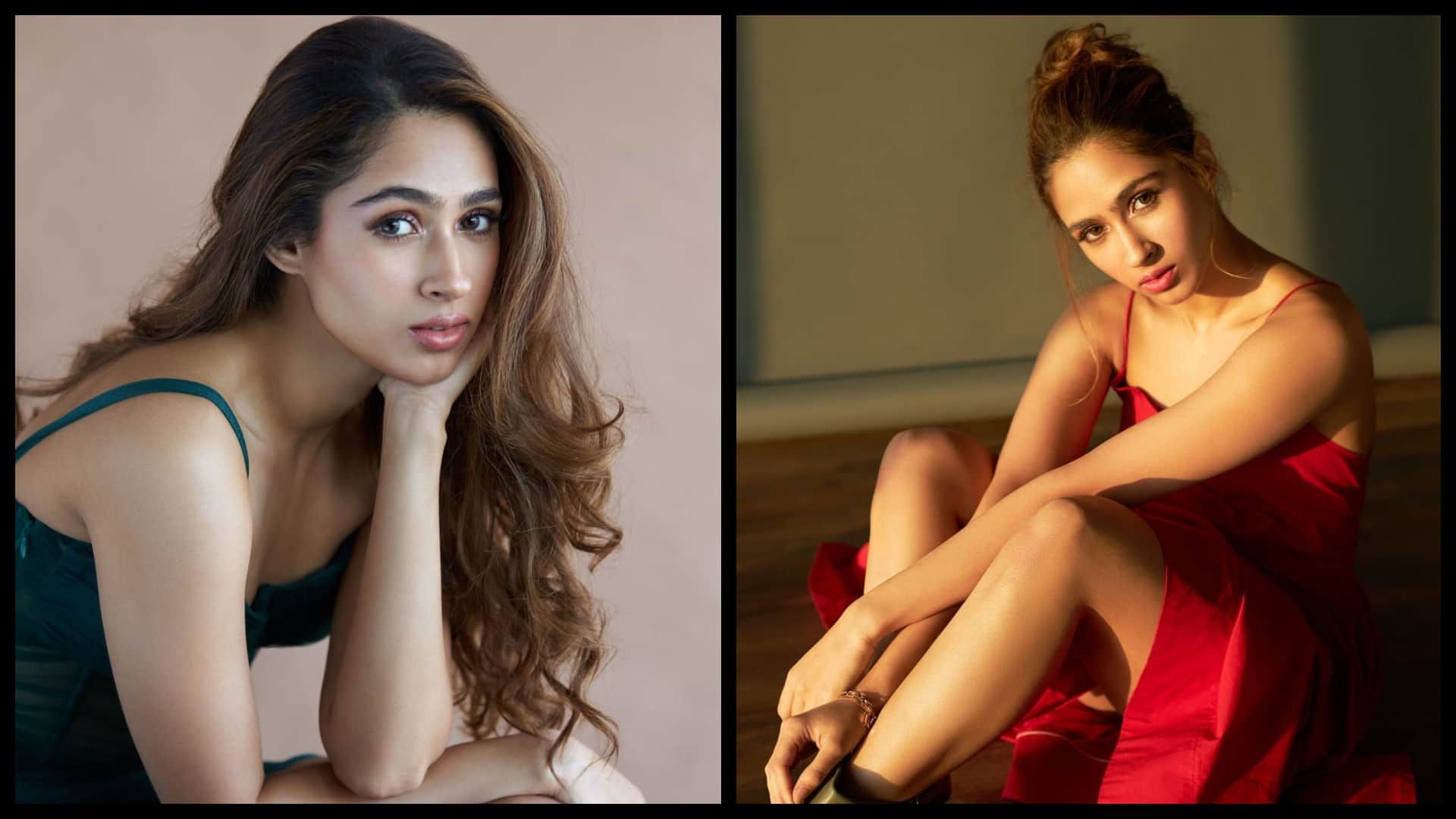 Ishq Vishk Sequel: Hritik Roshan cousin pashmina roshan to make debut in bollywood from shahid kapoor film sequel