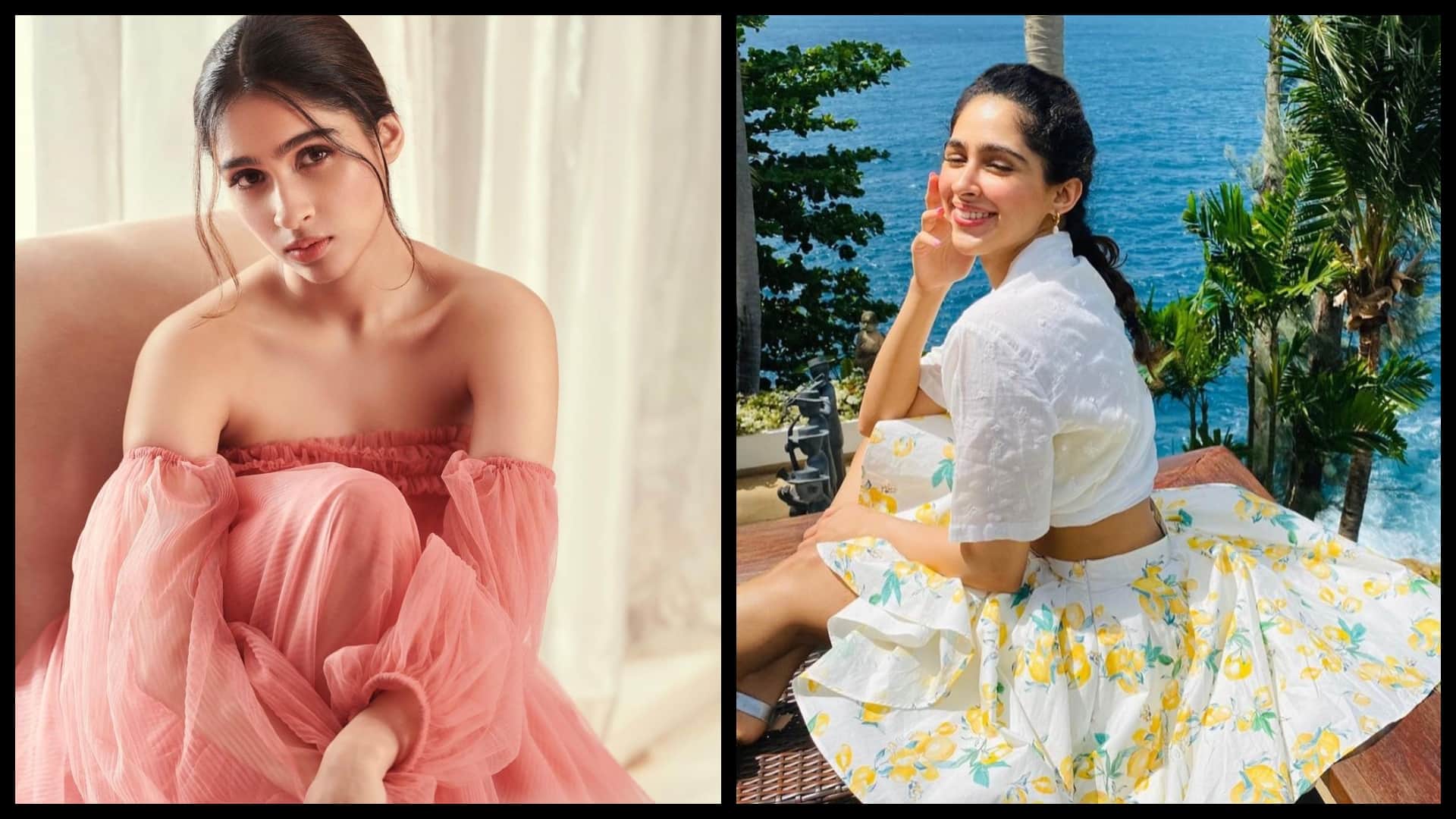 Ishq Vishk Sequel: Hritik Roshan cousin pashmina roshan to make debut in bollywood from shahid kapoor film sequel