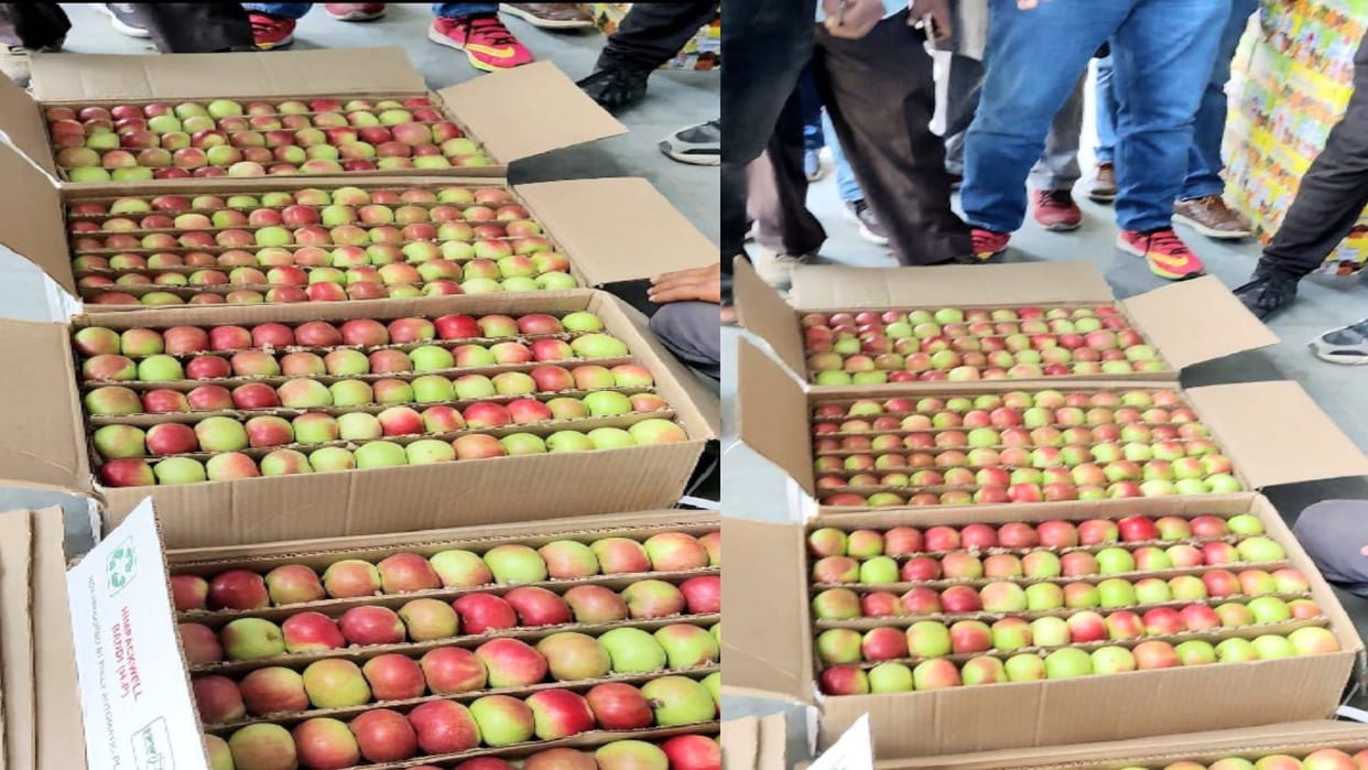 Himachali apple will get expensive this time, knock in the red June mandis of early variety