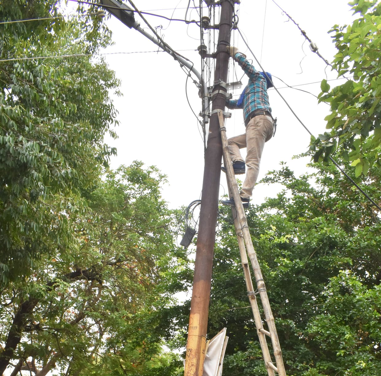 bijli,pareshani,cut