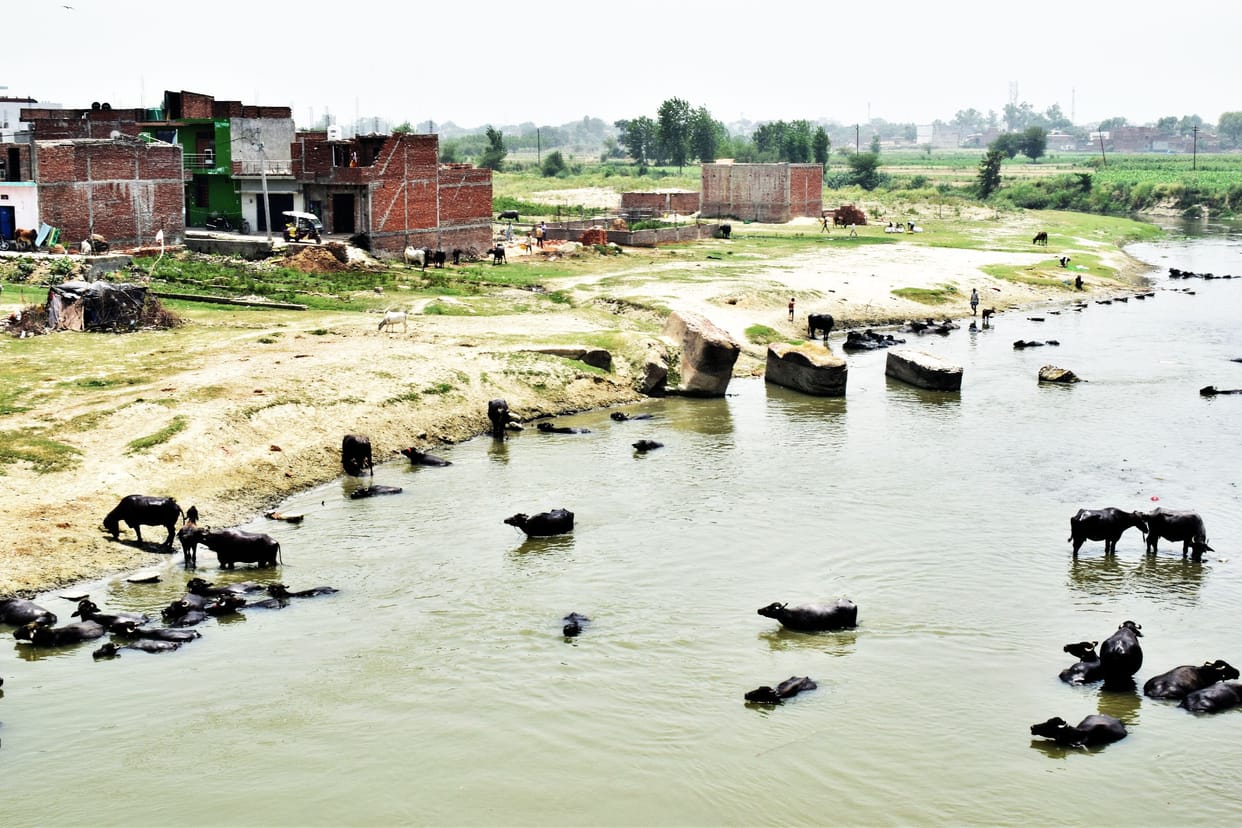 Do not fall in the trap of colonizer, do not build houses on the banks of rivers