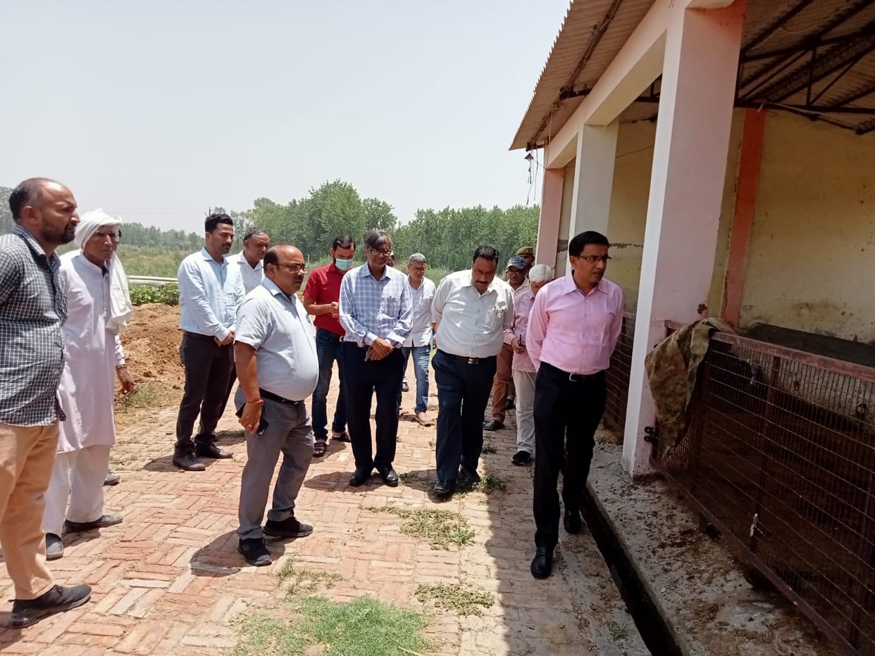 Angry with the mess, the divisional commissioner suspended the secretary
