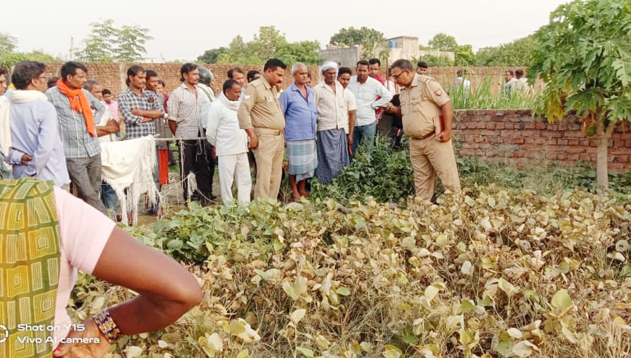 Dead body found in the field, sensation
