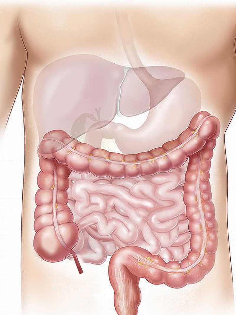 Kanpur: Weak liver can suddenly fail due to viral infection