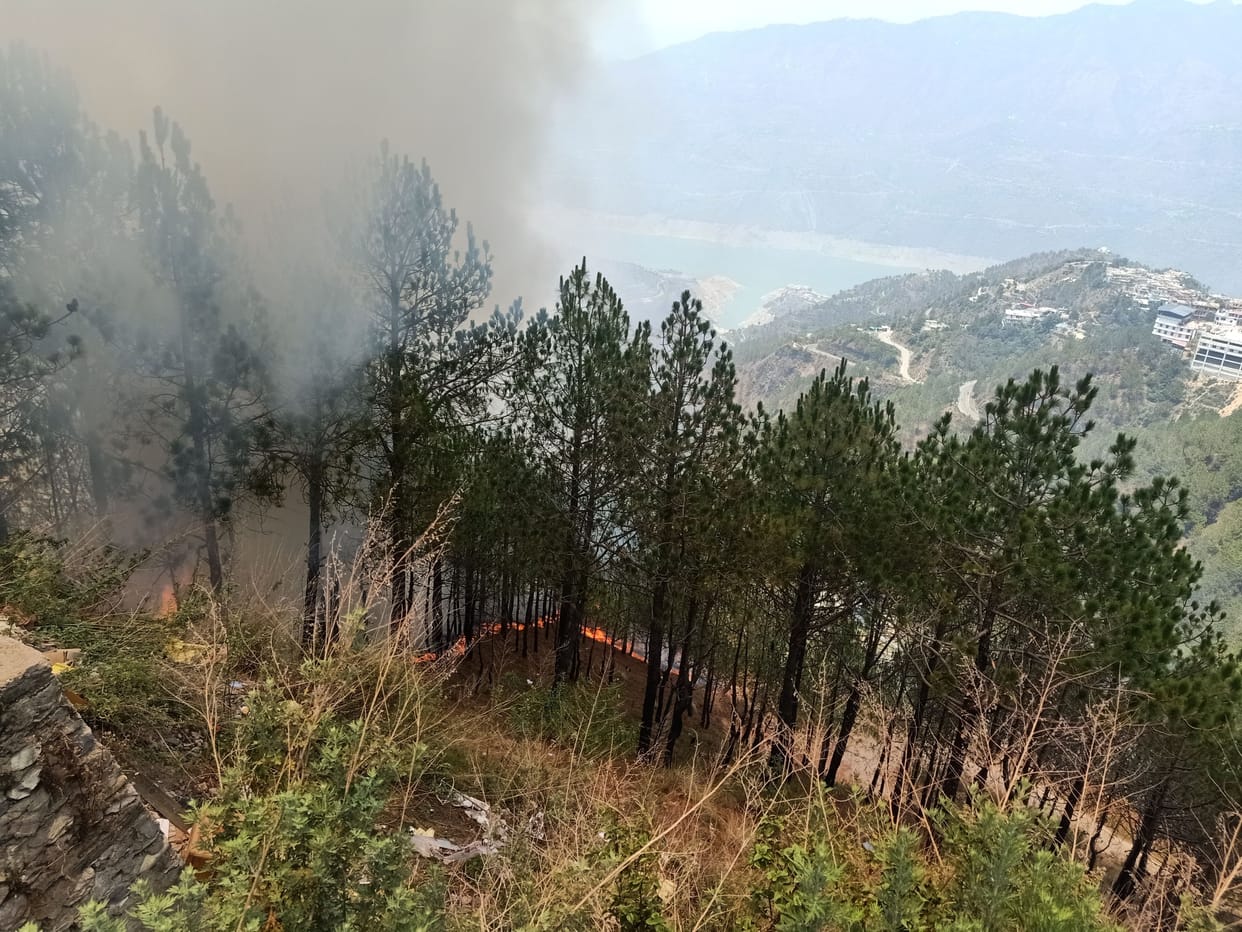 Forest fire reached near indane gas godown in Chamund