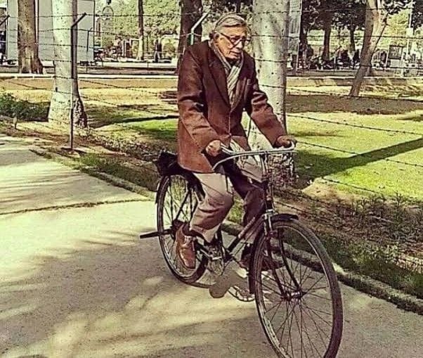 World Bicycle Day