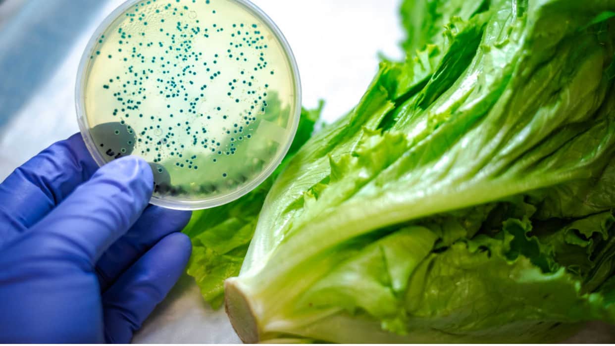 Why We Should Not Eat Leafy Vegetables In Rainy Season, what not to eat in monsoon