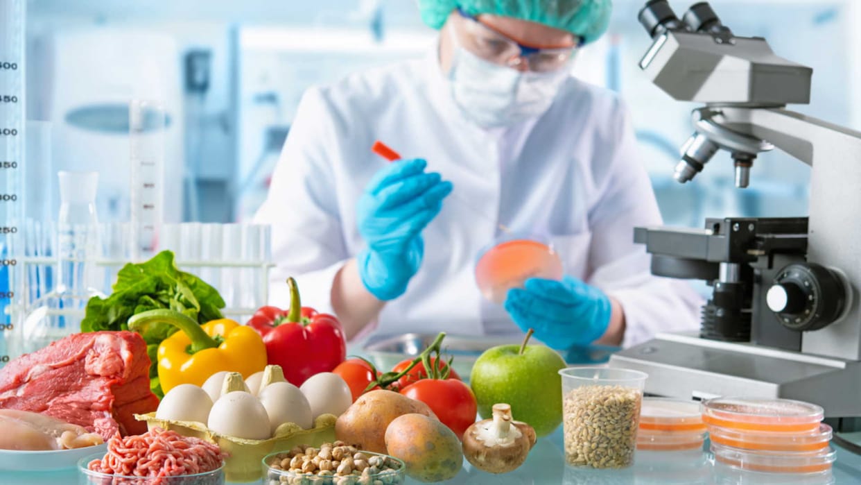 World Environment Day 2022 pesticides and fertilizers in fruits and vegetables causes cancer