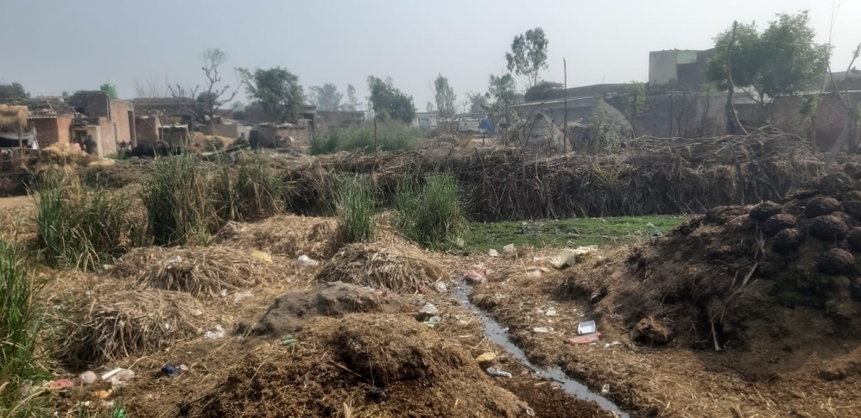 421 ponds waiting to be encroachment free