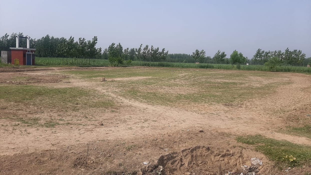 42 lakh saplings planted in three years, 70 percent died