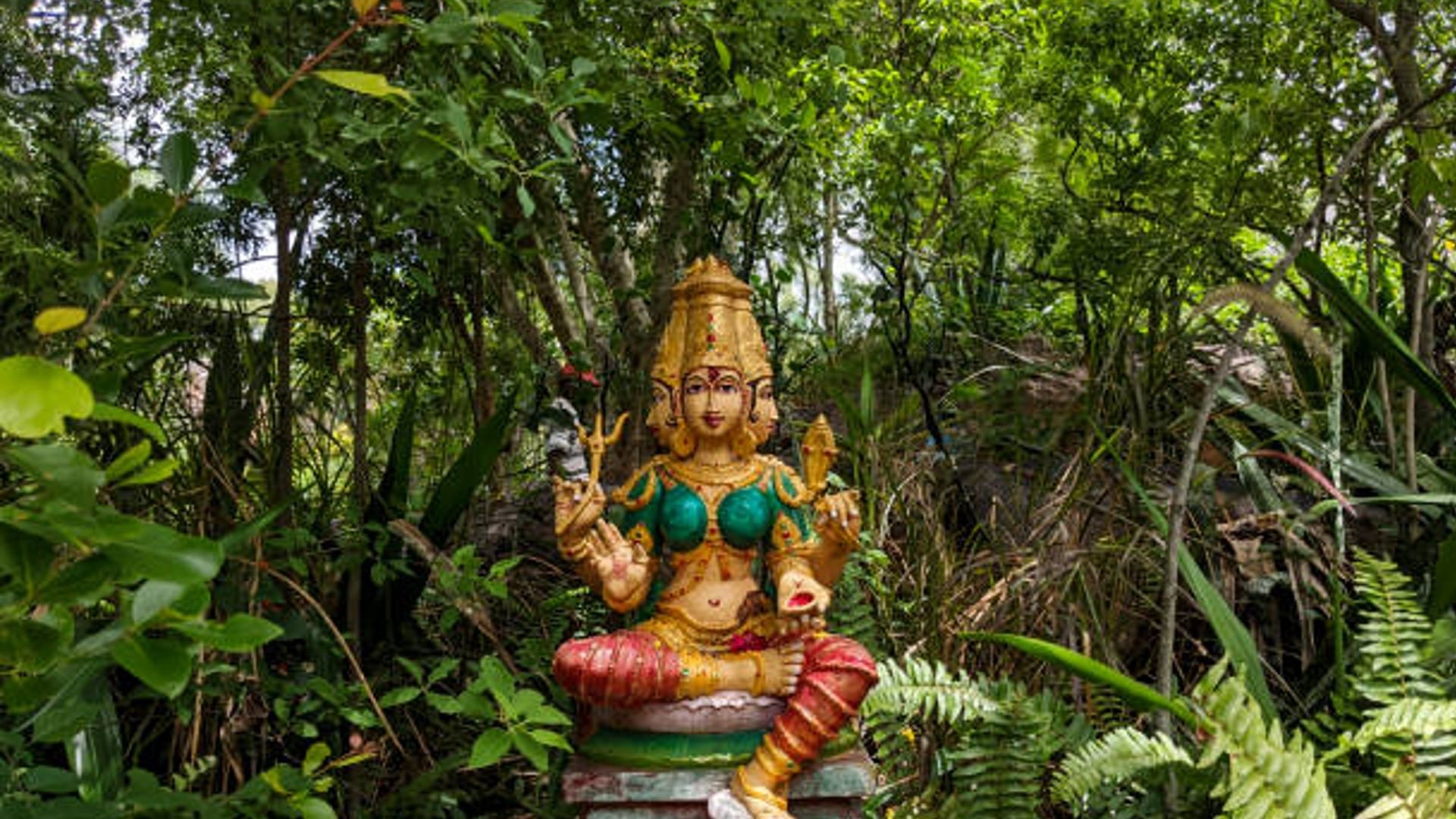 Method of Chanting Gayatri Mantra Know Its Meaning and Benefits Gayatri Jayanti