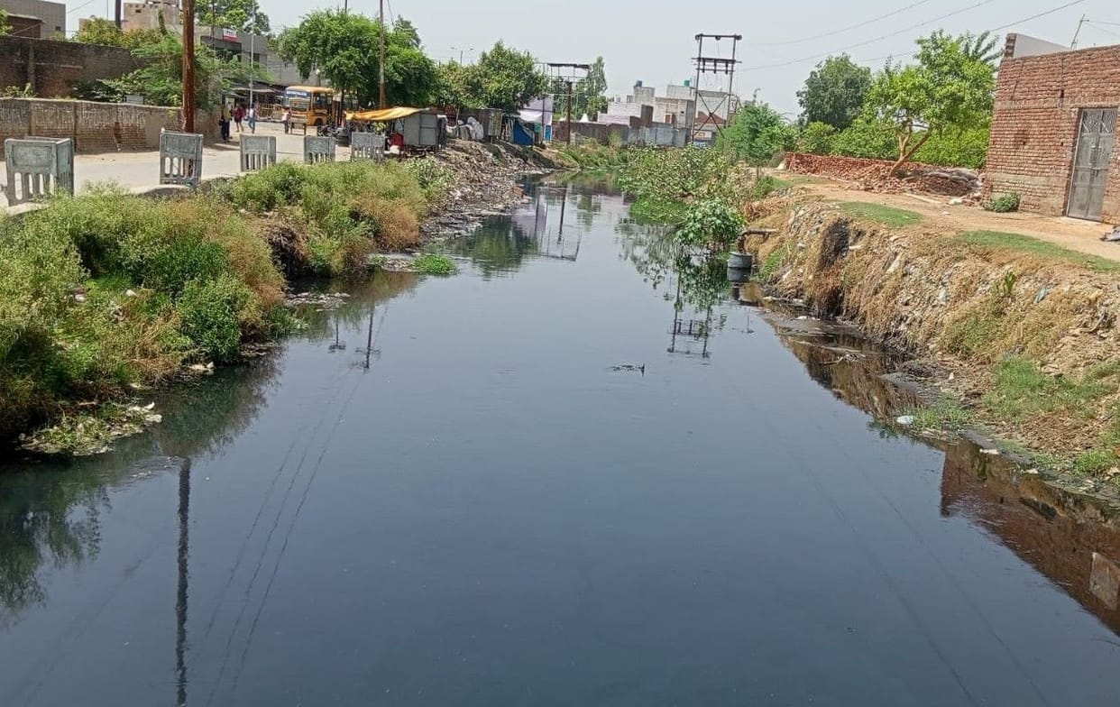 Hathras: Environmental protection efforts have become formal