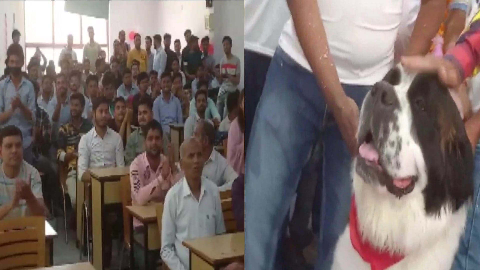 Meerut man, Dr Shamim celebrated his dog birthday and invited around 250 people to the party