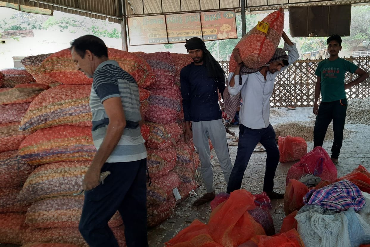 farrukhabad news,kishan,nuksan,lahsun ki kheti