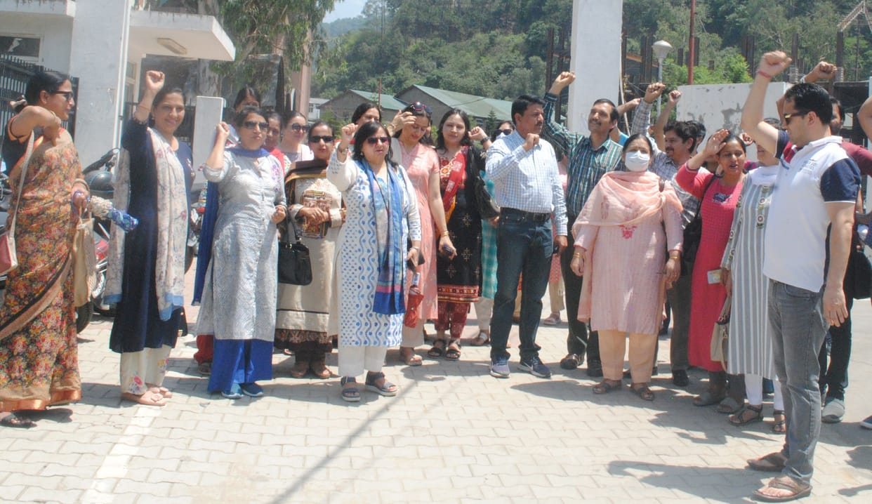 College teachers go on hunger strike in Mandi