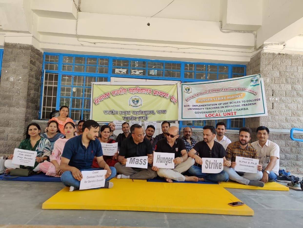 College professors went on mass hunger strike