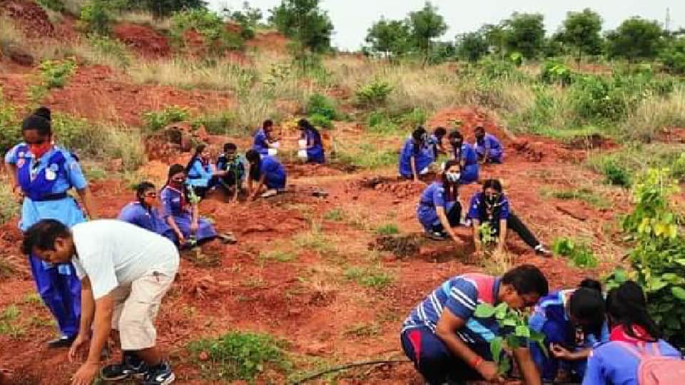 World Environment Day: Ankur campaign of the state started bringing color, lakhs of saplings were planted, CM is planting a sapling every day