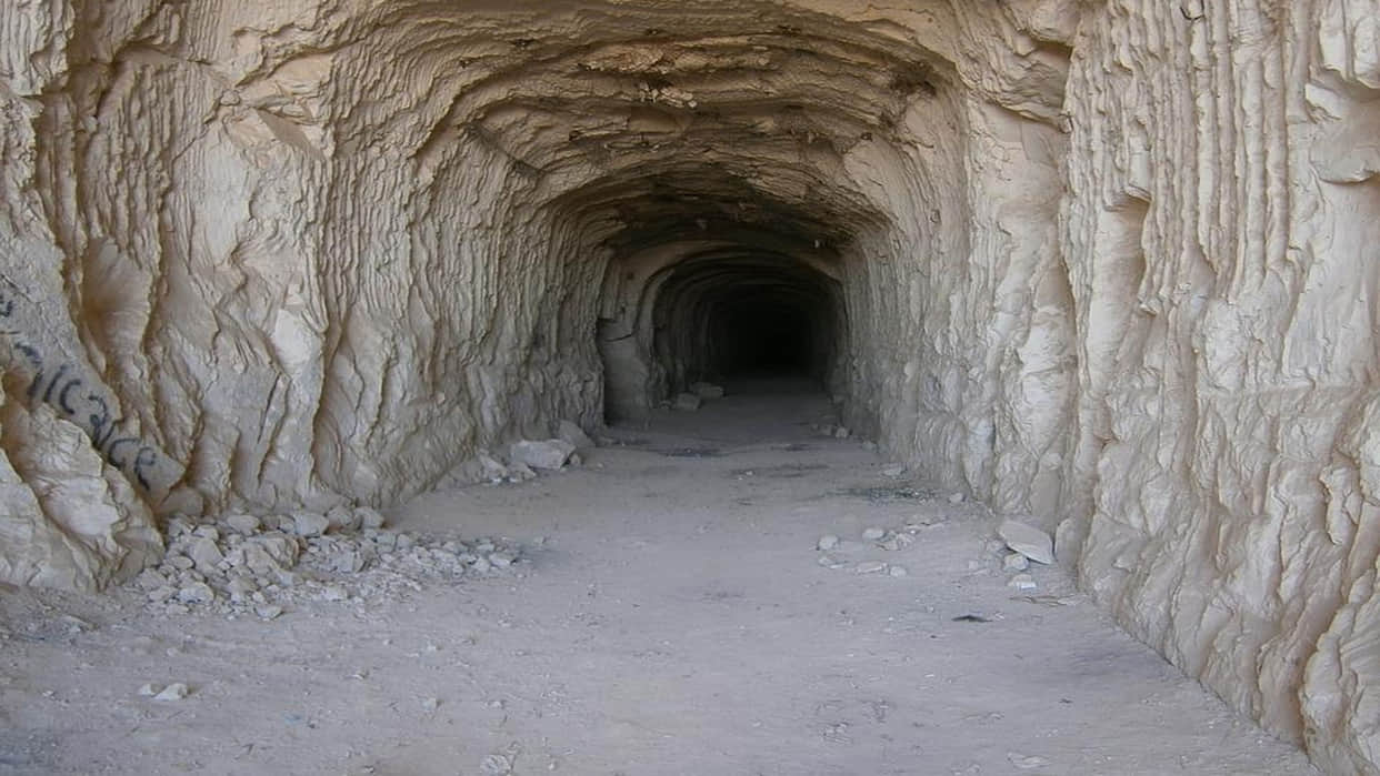Archaeologist Found 34 Mysterious Caves Under 3000 Year Old Temple Know More News in Hindi
