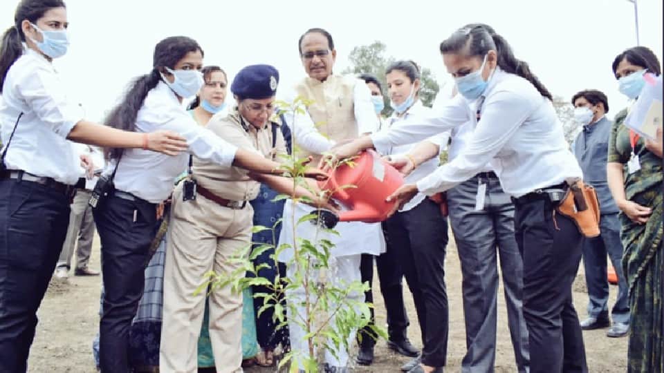 World Environment Day: Ankur campaign of the state started bringing color, lakhs of saplings were planted, CM is planting a sapling every day