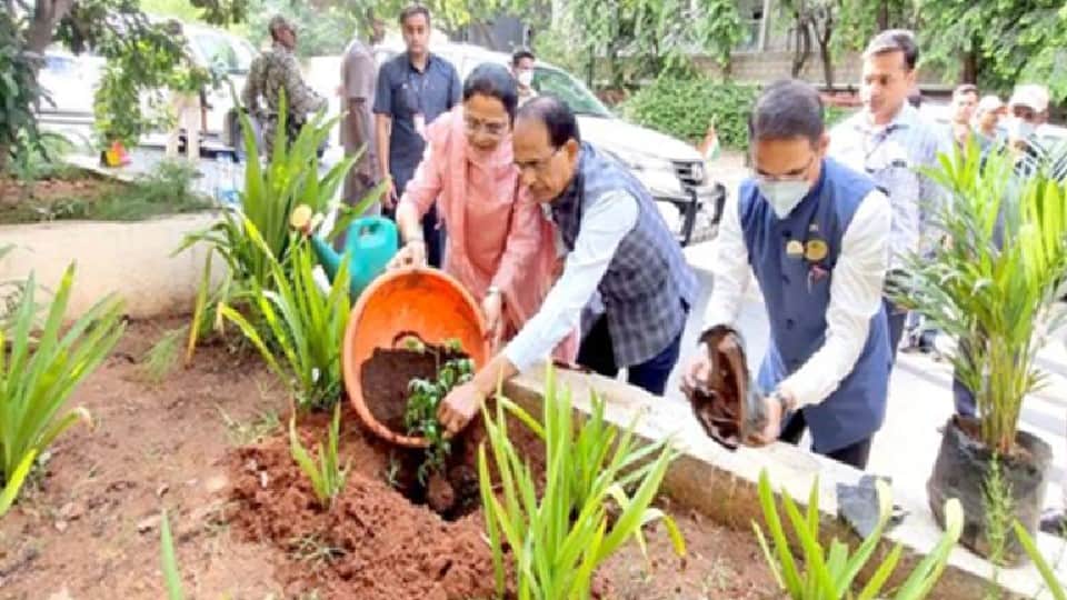 World Environment Day: Ankur campaign of the state started bringing color, lakhs of saplings were planted, CM is planting a sapling every day