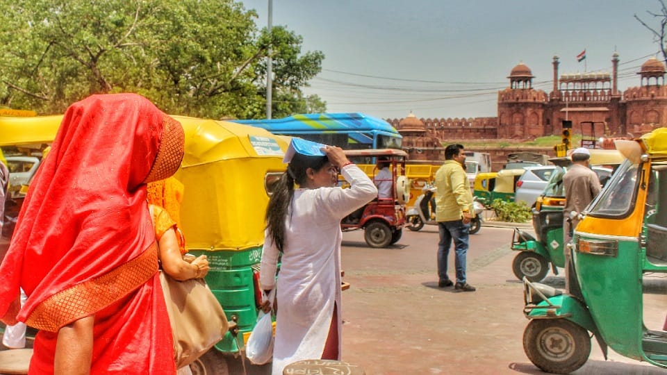 delhi weather saturday the hottest in five years in delhi yellow alert issued for Sunday