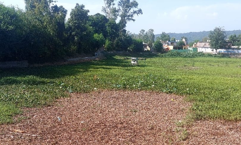 Drone sprayed medicine in historic king's pond