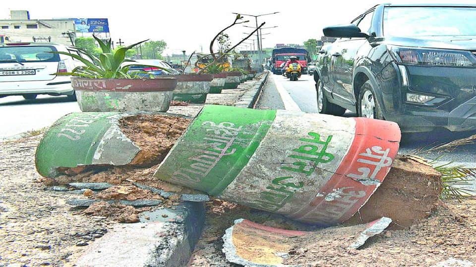 plants withered and tree guards broken on roadside due to negligence in agra