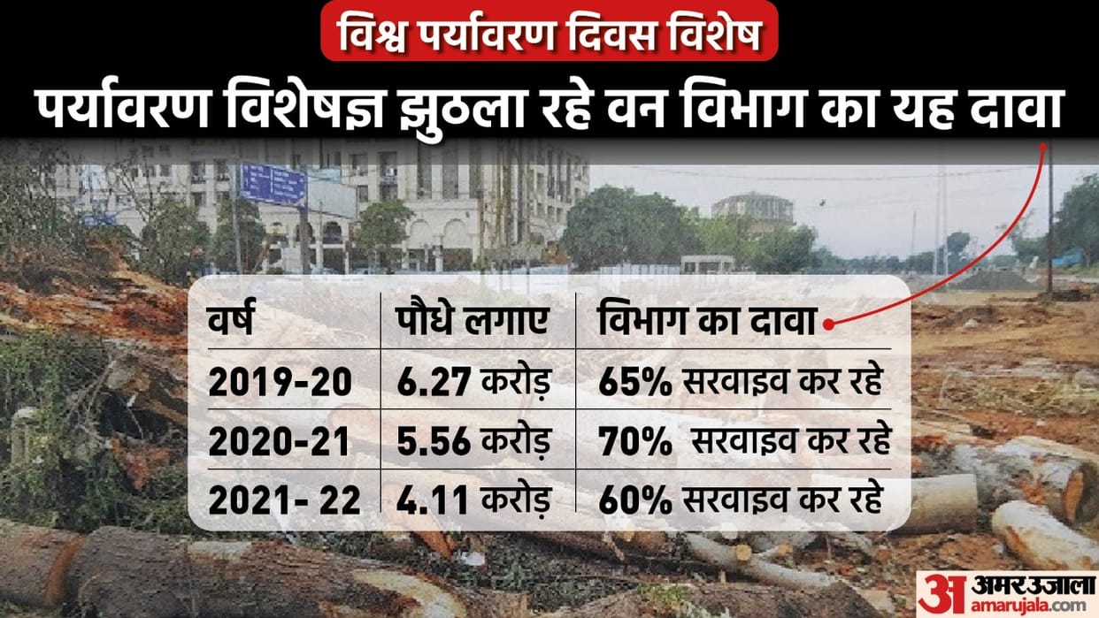 World environment day: Greenery is ending in the name of development in the state, 2.80 lakh hectares of forest ends in 40 years