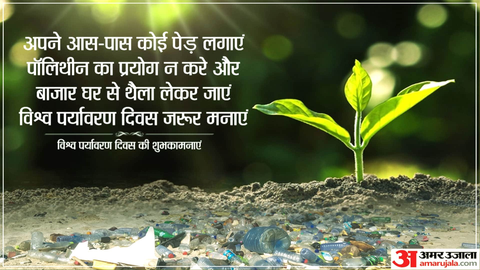 World Environment Day 2022 Send Messages Wishes Quotes Someone Special in Hindi