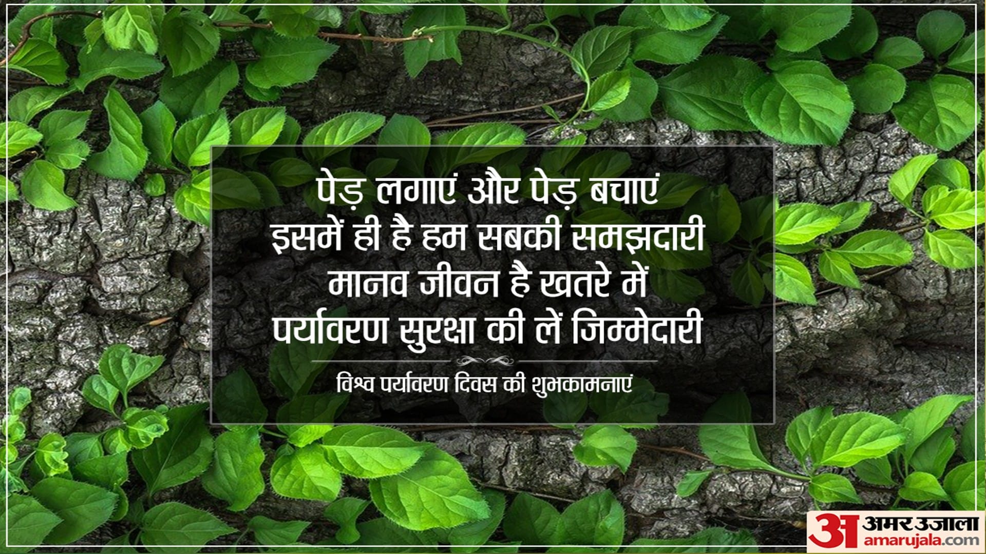 World Environment Day 2022 Send Messages Wishes Quotes Someone Special in Hindi