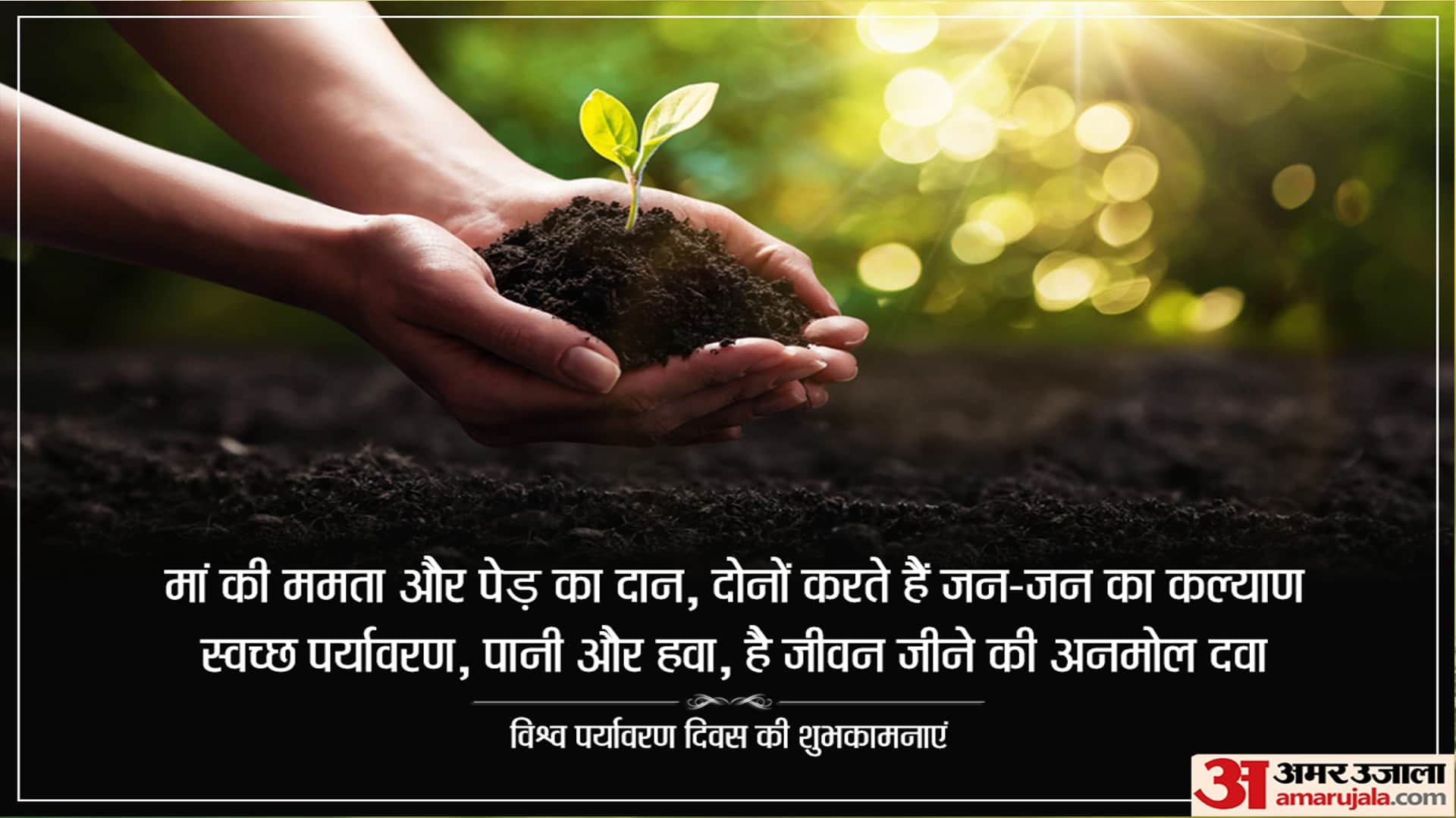 World Environment Day 2022 Send Messages Wishes Quotes Someone Special in Hindi