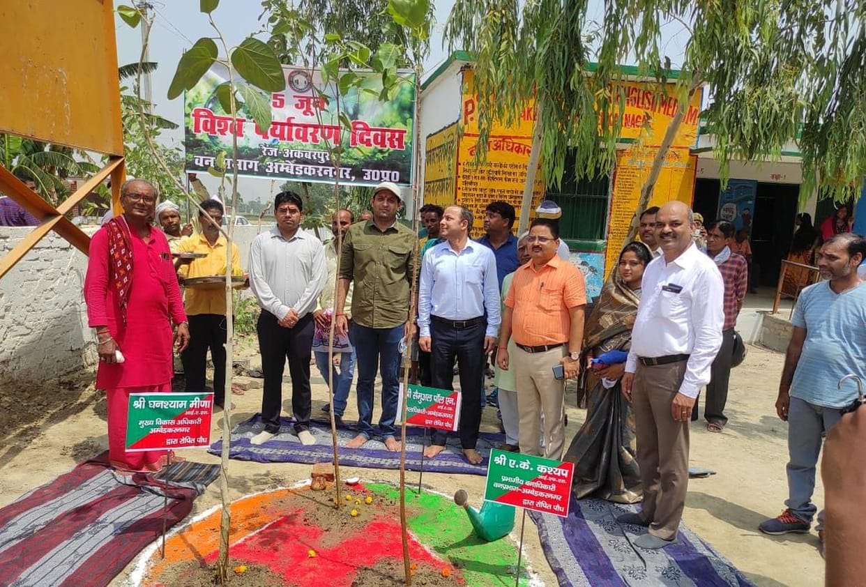 Plants planted to increase greenery
