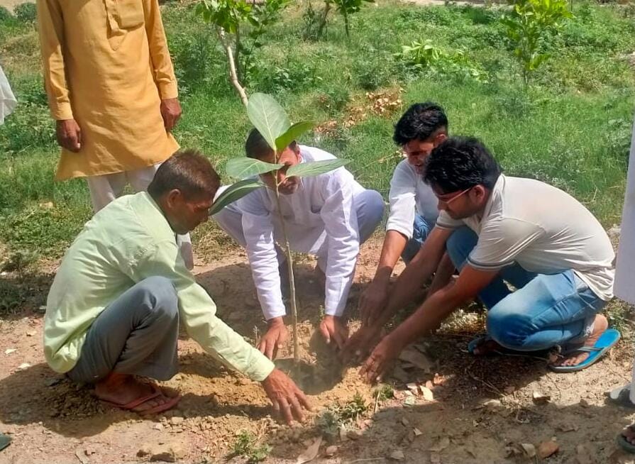 Everyone took steps to plant saplings for the purity of the environment