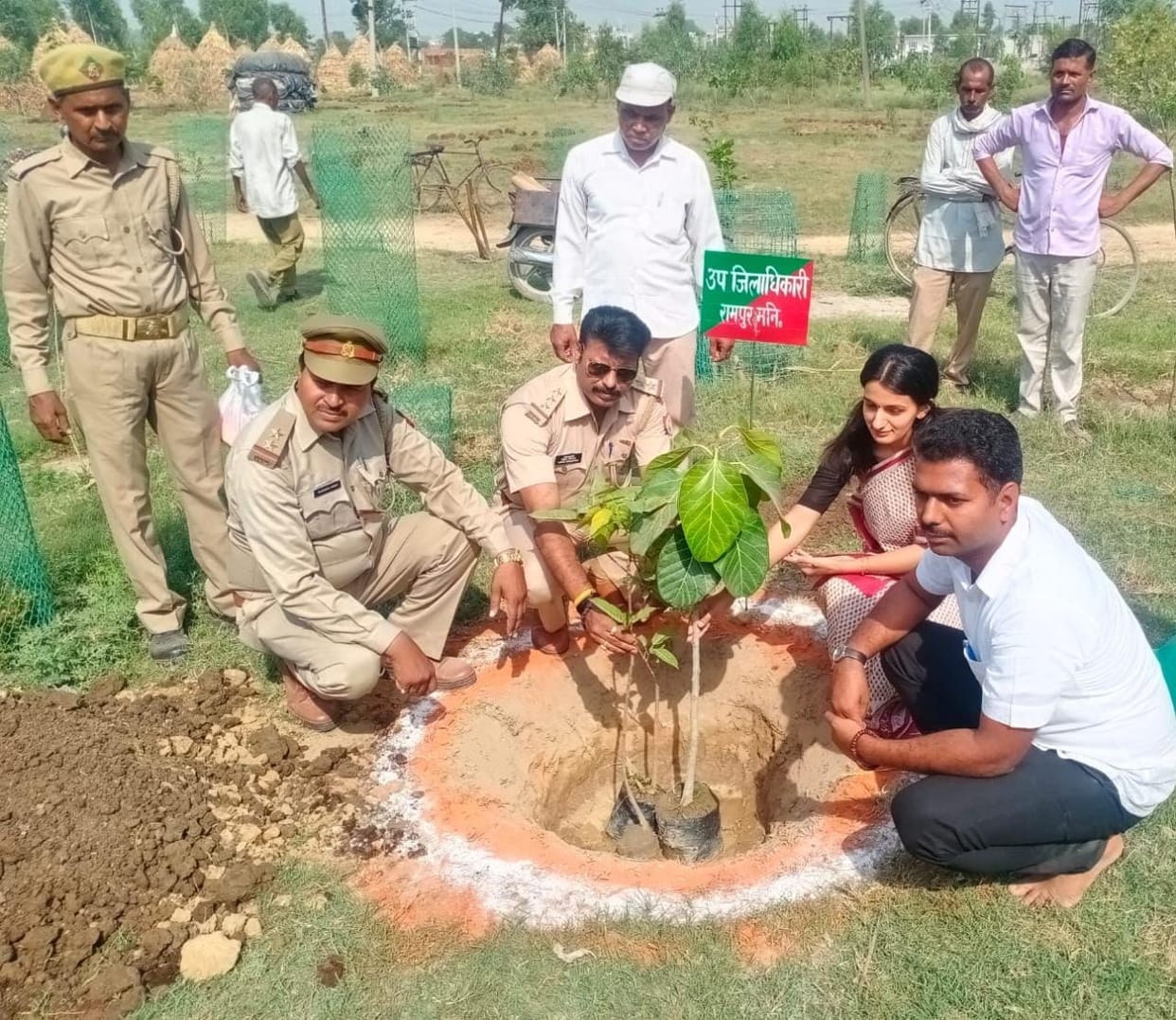 Plants were distributed on World Environment Day