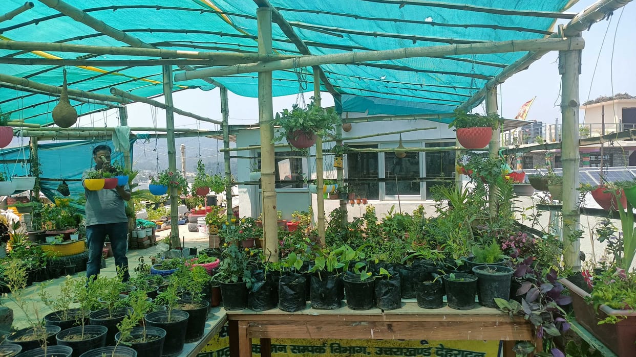 Garden on Roof in Champawat