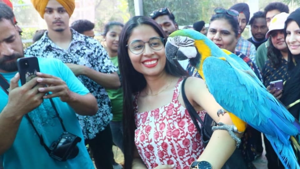 Environment department of Chandigarh celebrated Environment Day by organizing various programs 
