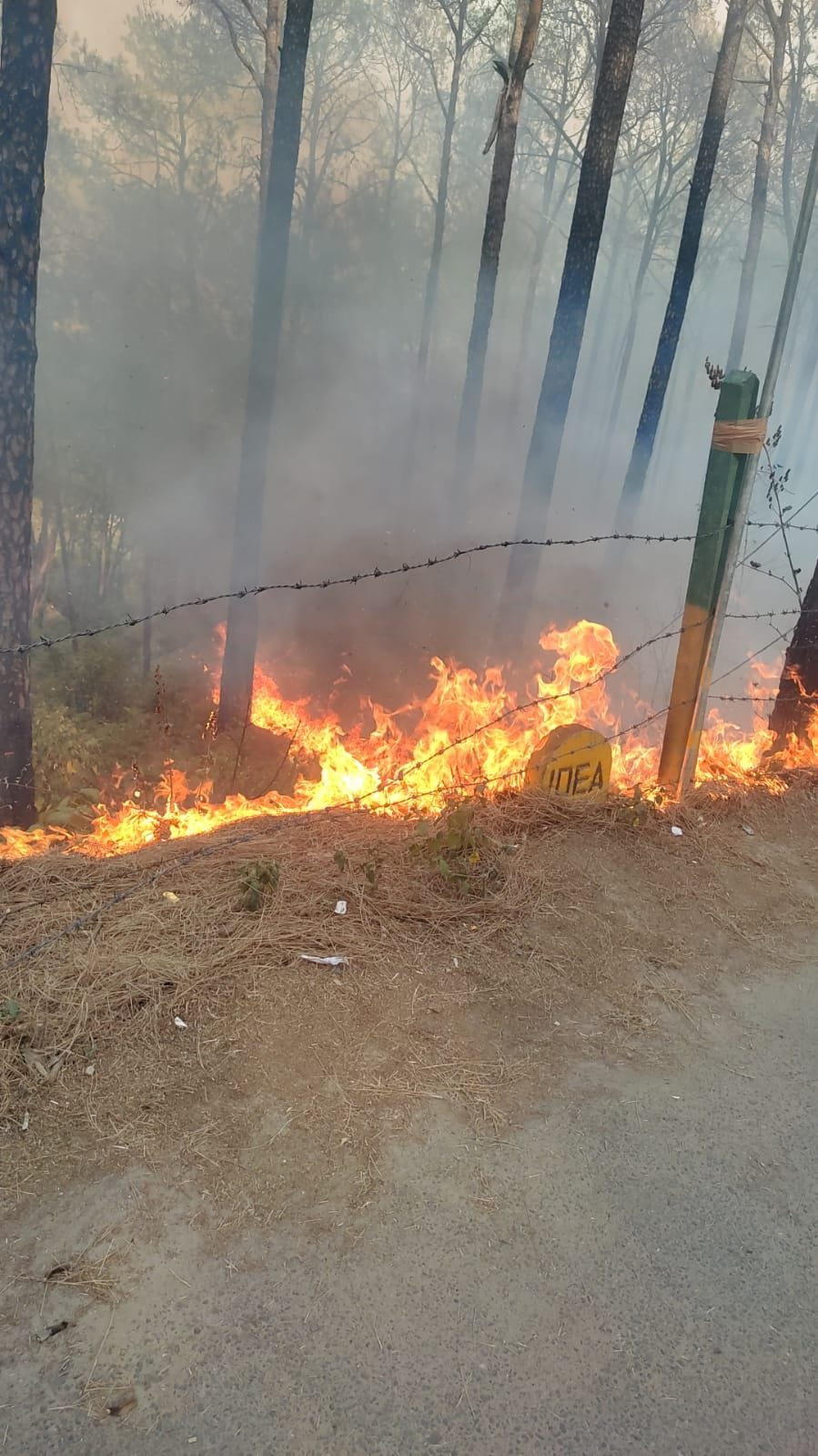 Hiragnar forest ash from the fire, to save the transformer, the board switched off the electricity