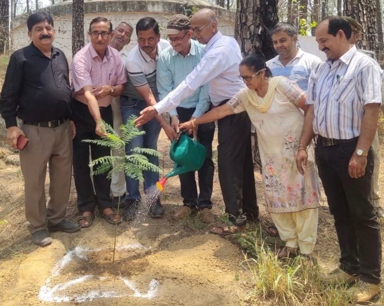 The message of saving the environment was given in village-village by taking out rally