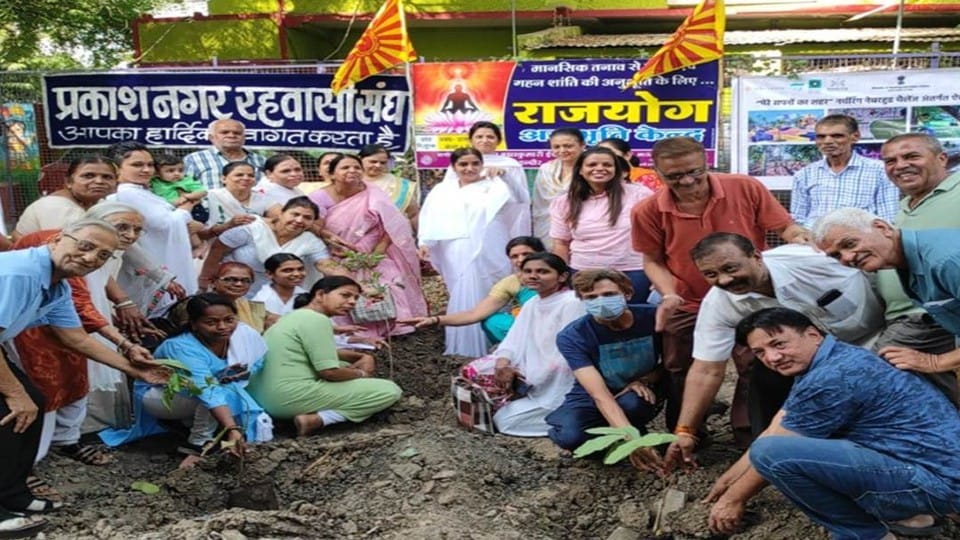 World Environment Day: Indore Municipal Corporation planted 20 thousand saplings, Brahma Kumaris started the campaign, information about plants will be available on mobile app