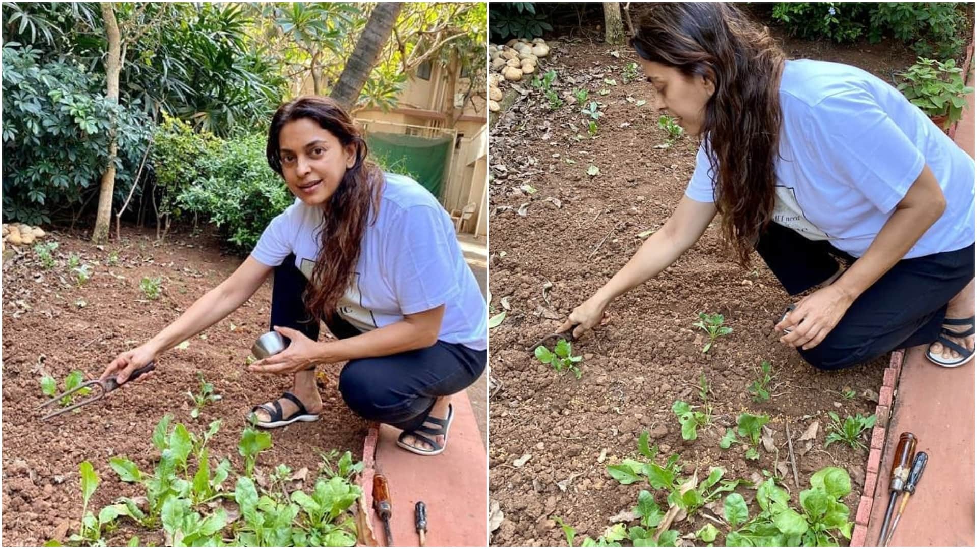 Juhi Chawla Hush Hush actress pledge to plant 1000 trees on Ranbir Lata Mangeshkar her late brother birthday
