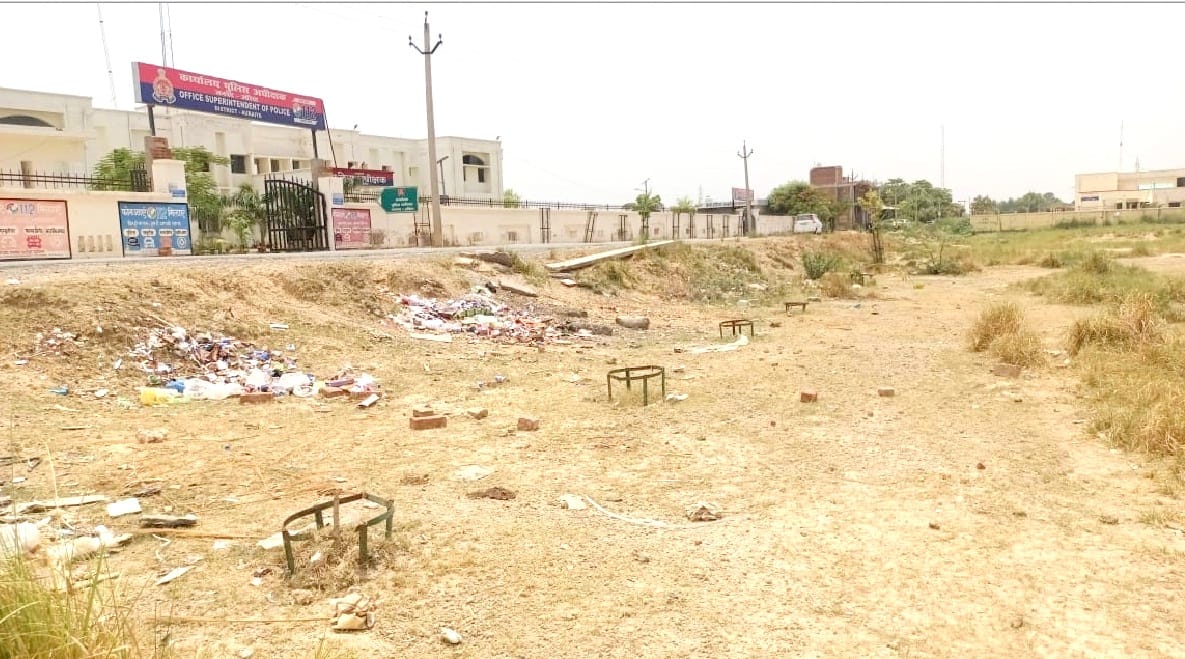 Paper plantation happening in Auraiya district, departments planted lakhs of saplings every year, disappeared from the ground