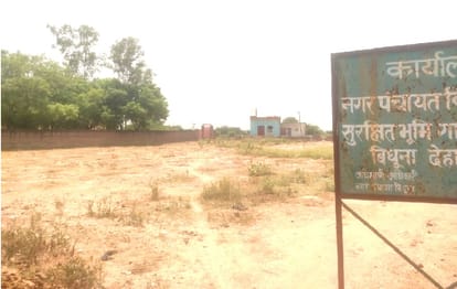 Paper plantation happening in Auraiya district, departments planted lakhs of saplings every year, disappeared from the ground