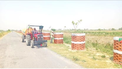 Paper plantation happening in Auraiya district, departments planted lakhs of saplings every year, disappeared from the ground