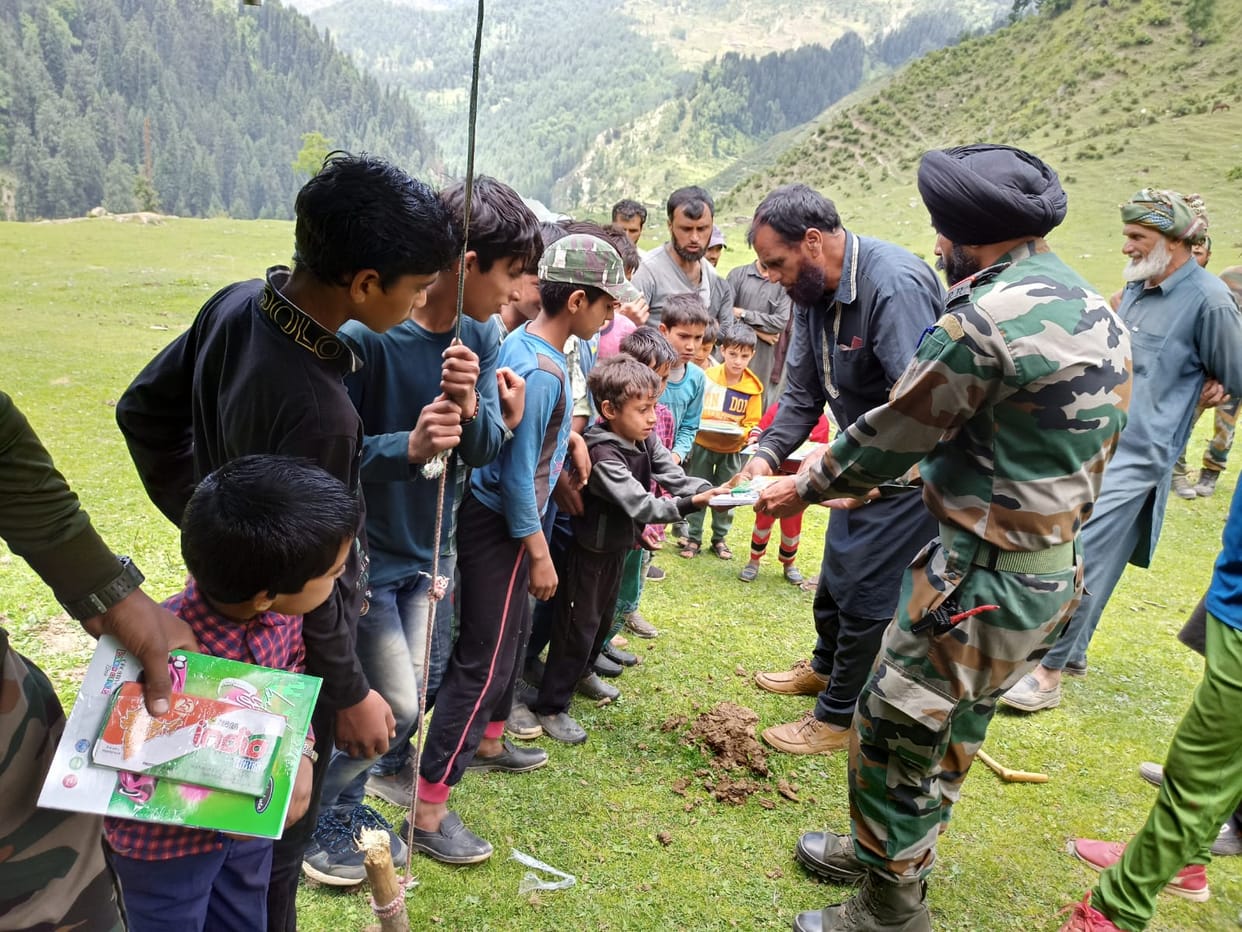 tree plantation