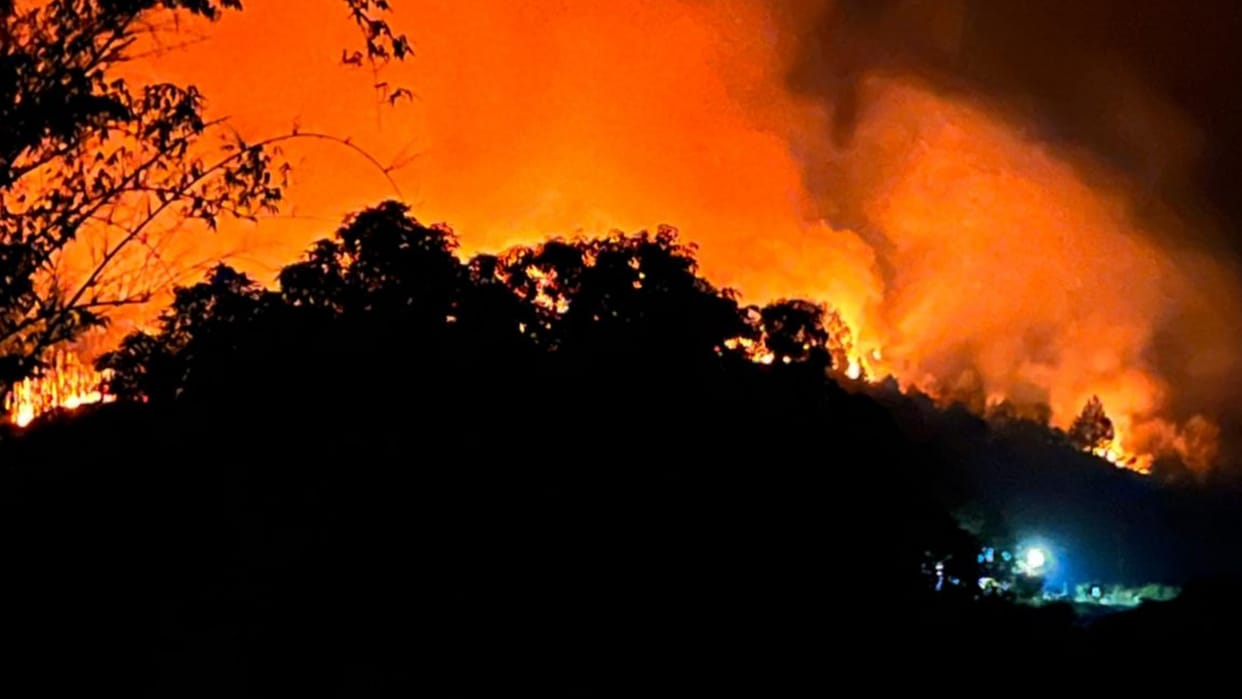 Forest Fire breaks out in galore Hamirpur himachal pradesh danger to galore tehsil