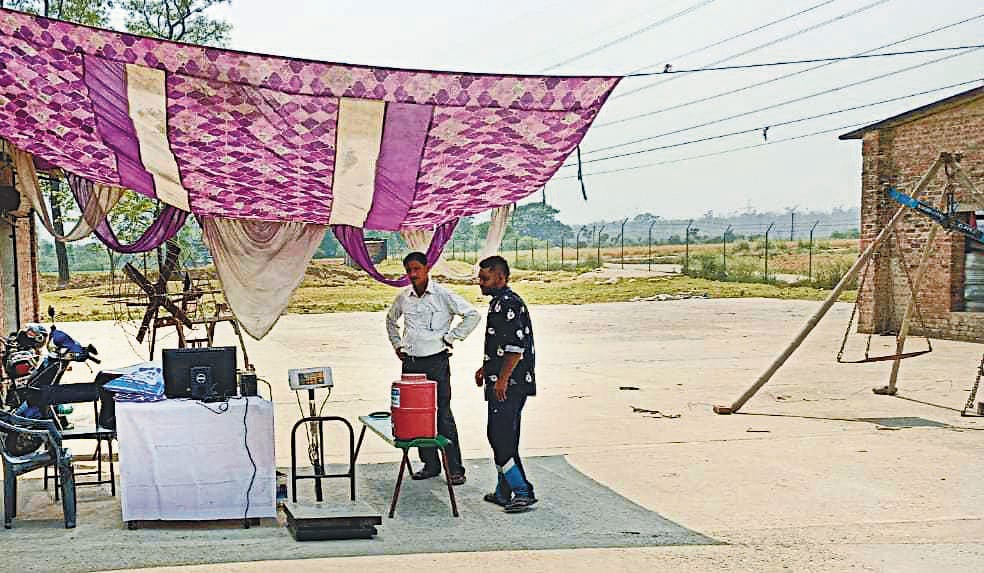 Purchase of Wheat in Tanakpur