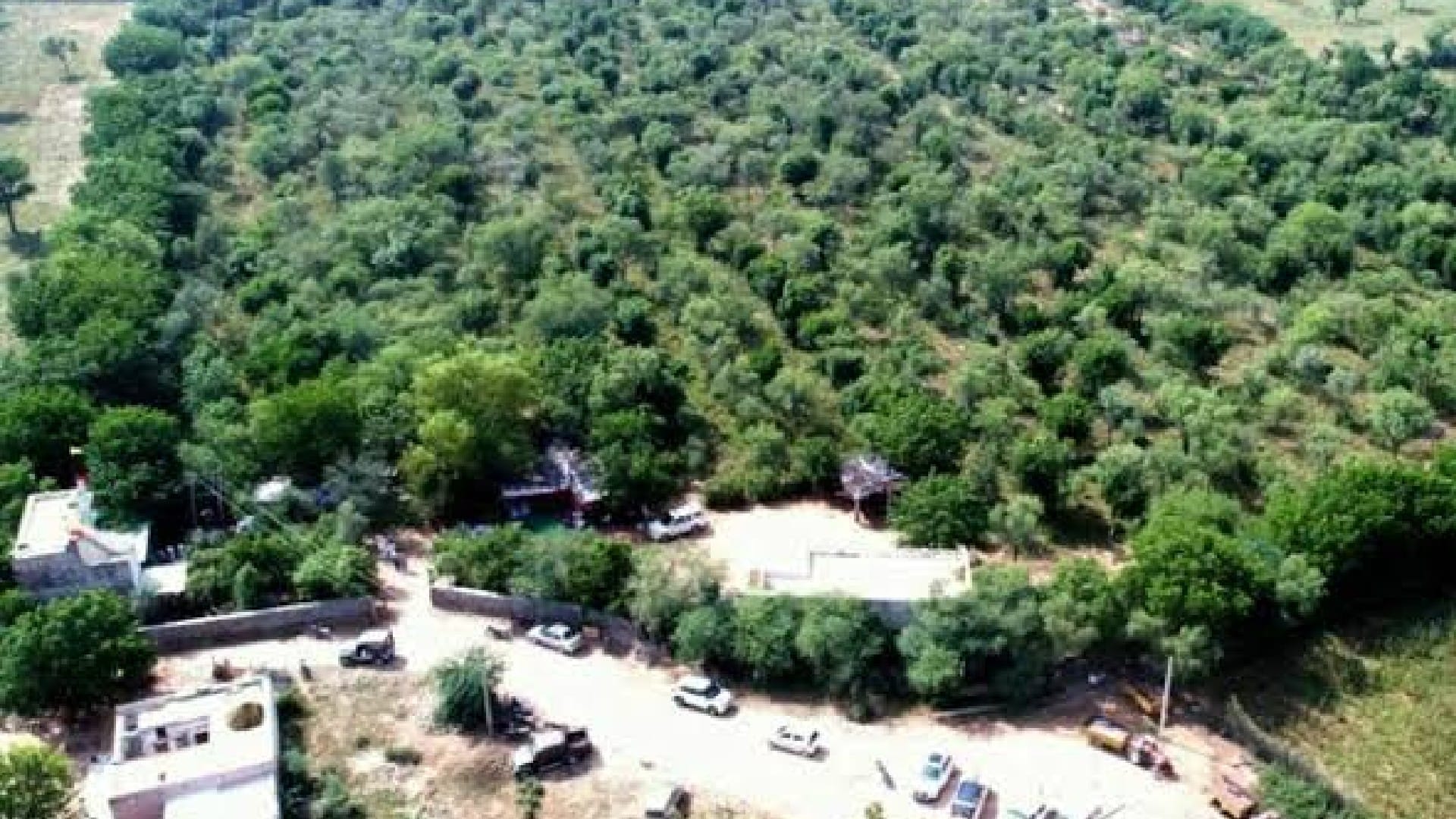 Environment Day Tree Man of Rajasthan Himmata Ram Bhambhu planted more than five lakh saplings