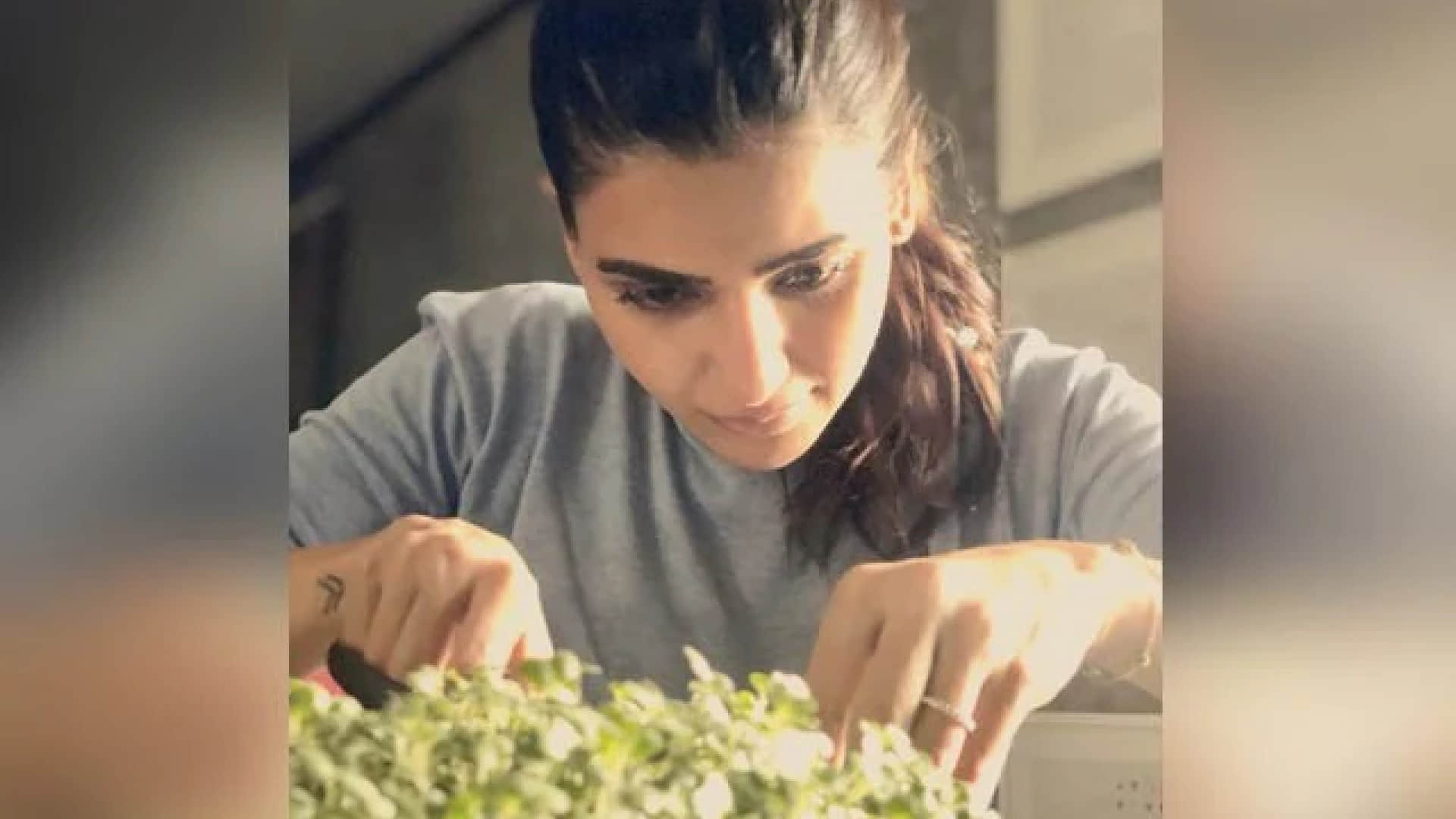 celebrities who are growing vegetables at their kitchen garden shilpa shetty Preity Zinta Samantha Ruth Prabhu