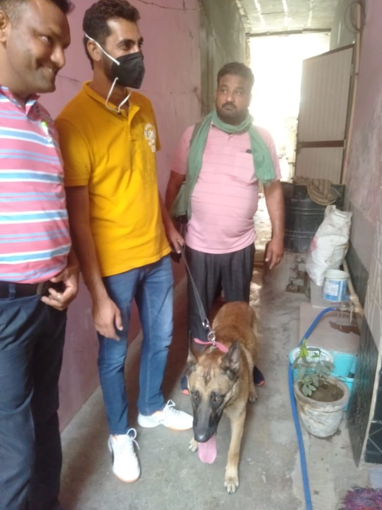 Bullet, Shiva and Michael checked the suspects' houses with the police